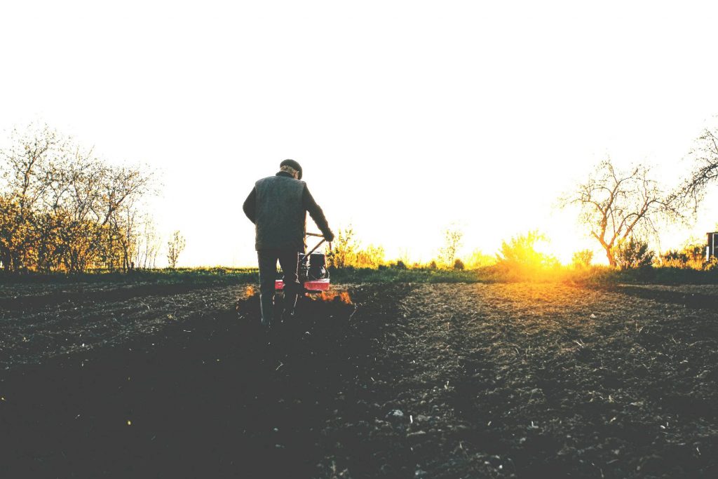 Man plowing with rotatilor