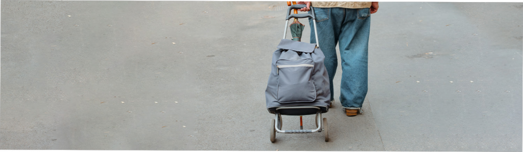 cart